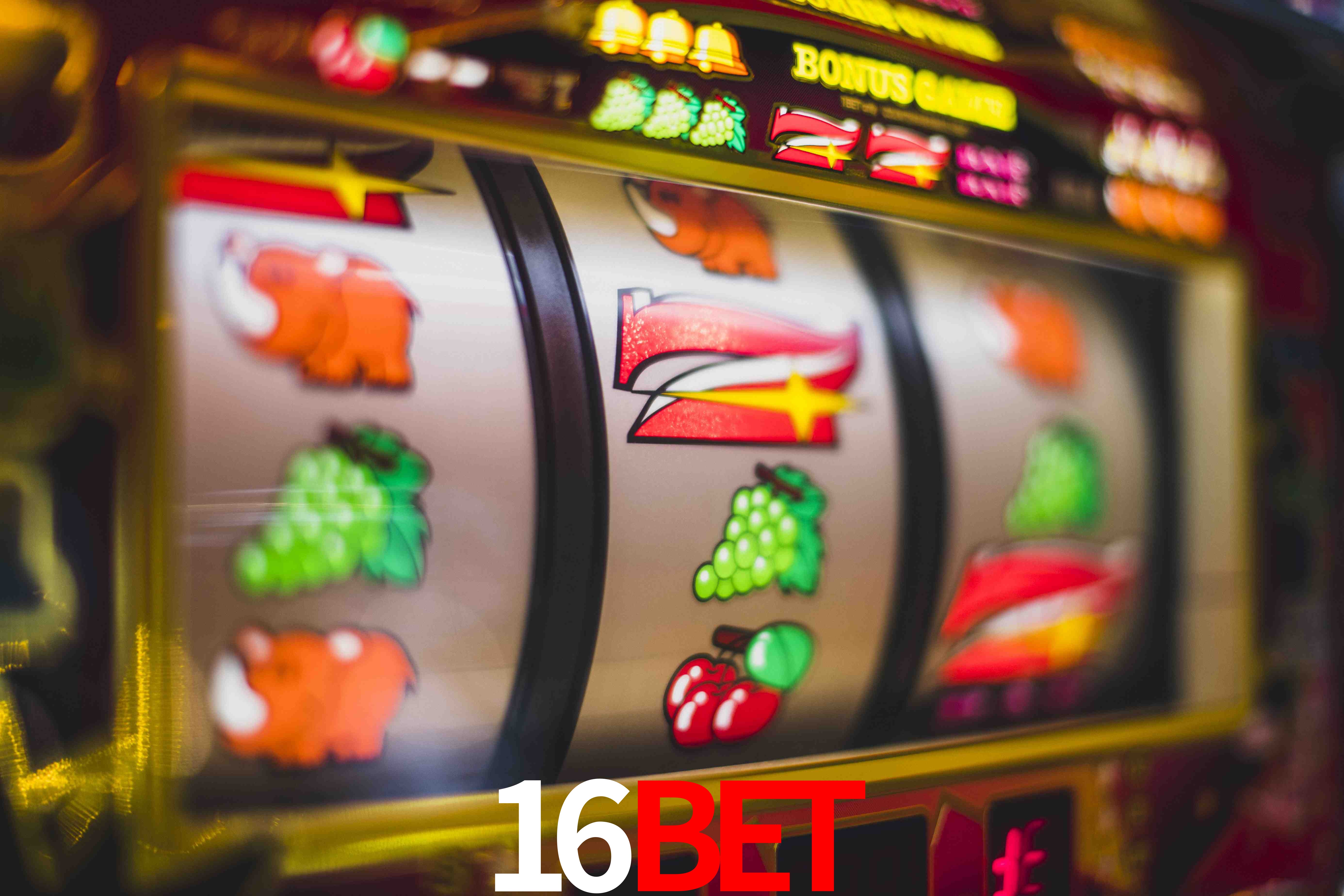 VIP Casino 16bet